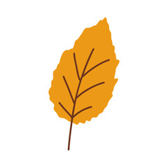 Autumn leaves. Foliage leaf silhouette. Forest vector illustration.