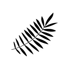 Tropical leaves. Hand drawn jungle leaf set. Vector exotic monstera floral decorative set