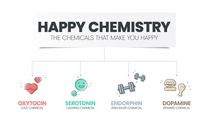 Happy Chemistry infographic has 4 types of Chemical hormones such as Oxytocin (Love), Serotonin (Calming), Dopamine (Reward) and Endorphin (Pain Killer). Happy chemicals concept. Presentatation slide. - obrazy, fototapety, plakaty