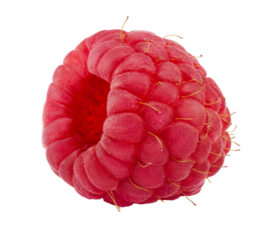 Raspberry isolated PNG transparent background.