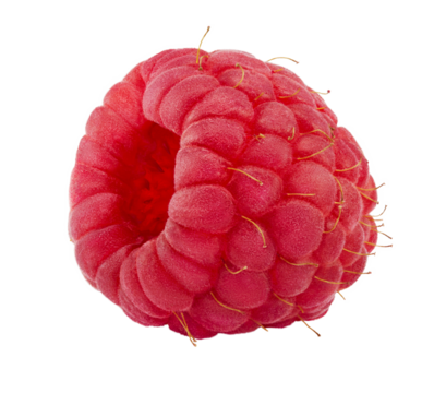 Raspberry isolated PNG transparent background.