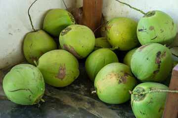 young coconuts on the floor