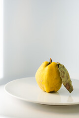 one ripe quince with a leaf stands on a white plate on a light background. minimalistic composition with yellow fruit