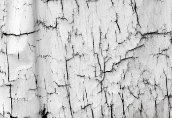 Obraz premium Cracked white fabric as an abstract background.