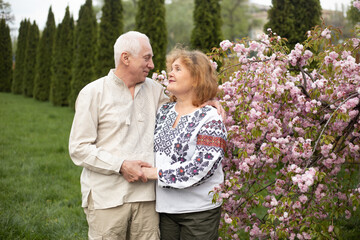 senior couple in love having fun in summer or spring nature near sakura blooming tree wearing Ukrainian embroidered shirt