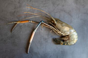 Large scampi shrimp on a black background.