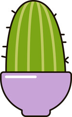 Cactus in a pot. Home plant