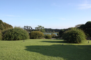 Obraz premium 公園