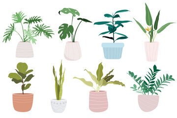Fototapeta na wymiar Set of house plants in pots