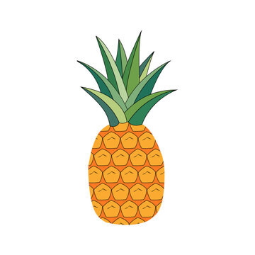 Pineapple fruit. Vector illustration flat icon isolated on white.