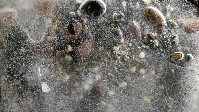 Time lapse of melting ice on the ground, The effect of glowbal warming.
