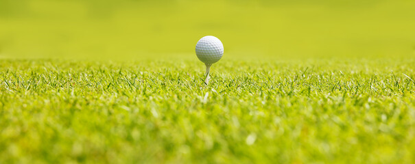 緑の芝生が綺麗なゴルフ場