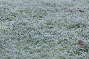 Wintermärchen 04