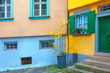 Fototapeta na wymiar Interior yard with leaves in autumn . Colorful walls of houses in fall season