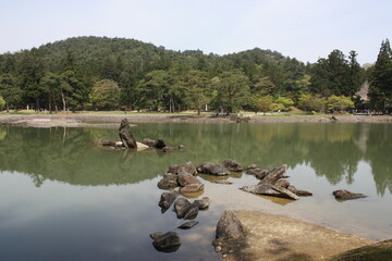 水辺の風景