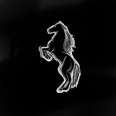 Obraz na płótnie Canvas Black horse illustration