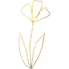 Obraz premium Doodle simple glitter flower. Illustration clipart PNG. Transparent background