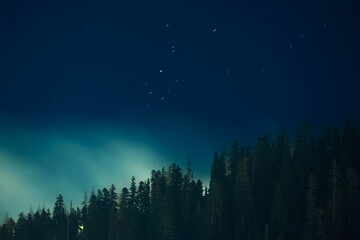 Fototapeta na wymiar Foggy And Starry Mountain Forest