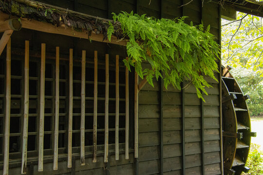 水車小屋と日本庭園」の写真素材 | 479件の無料イラスト画像 | Adobe Stock
