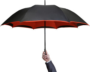 person holding an umbrella - obrazy, fototapety, plakaty