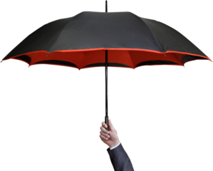 person holding an umbrella