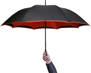 Fotobehang person holding an umbrella © bahadirbermekphoto