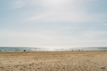 beach and sea
