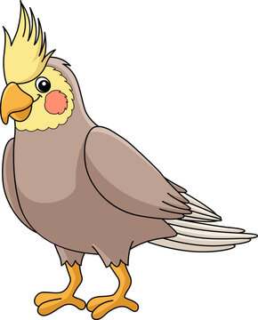 recommend clip art: Cockatiel Animal Cartoon Colored Clipart 