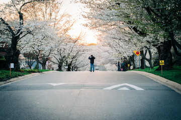 walking in the park