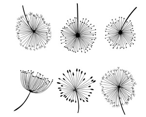 Plant nature hand drawn set. Collection botanical element.