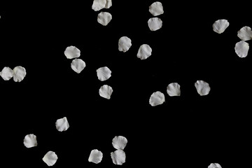 Blütenblätter auf schwarz - negativ multiplizieren