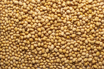 Heap of soy as background, top view