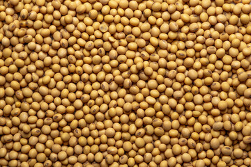 Heap of soy as background, top view