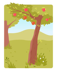 Fototapeta premium Apple tree growing in green village garden, farm summer orchard with harvest of fruit