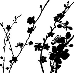 Silhouette Blossom Flowers Background Pattern