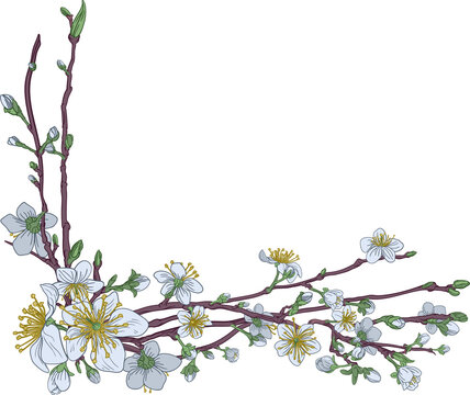 Peach Cherry Blossom Flowers Corner Design