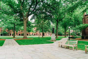 park in the city