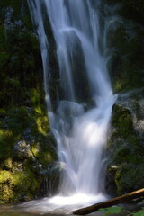 Fototapeta na wymiar Madison Falls in Olympic National Park, Washington
