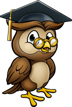 Wise Owl Graduate Teacher Character