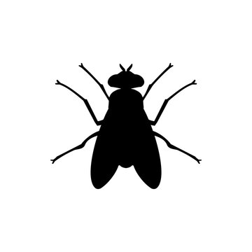 Fly Icon Silhouette Vector Illustration On White Background. Fly vector icon on white background. Flat vector fly icon symbol sign from modern animals collection for mobile concept and web apps design