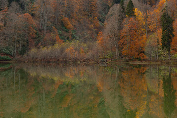 Autumn Colors in the Borcka Karagol Lake, Borcka Artvin, Turkey
