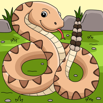Rattlesnake Animal Colored Cartoon Illustration