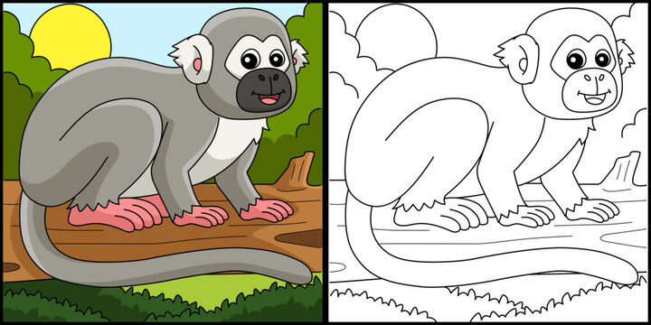 Squirrel Monkey Animal Coloring Page Illustration