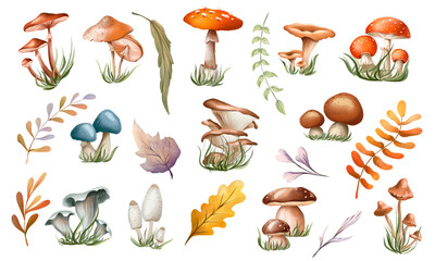 Naklejka premium Watercolor autumn mushroom clipart. Collection of autumn forest composition with mushrooms, plants. Botanical illustration. Isolated.