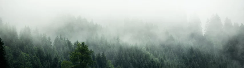 Foto op Plexiglas Mistige ochtendstond Verbazingwekkende mystieke stijgende mist bos bomen landschap in het Zwarte Woud (Schwarzwald) Duitsland panorama banner - Donkere stemming..