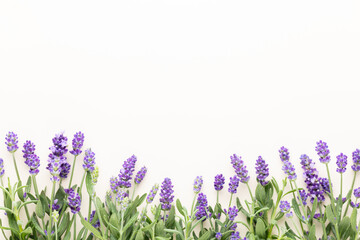 Flowers composition, frame made of lavender flowers on pastel background.