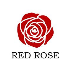 red rose vector