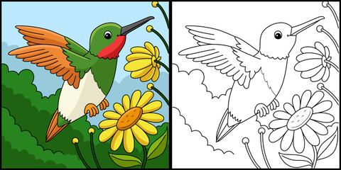 Hummingbird Animal Coloring Page Illustration