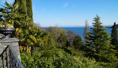 a beautiful view from Flower Island Mainau and the majestic green trees, lake Constance or Bodensee and the German Alps in the background (Germany)