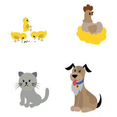 Pets. Chickens. Chicken. Cat. Dog. Vector illustration isolated on white background.